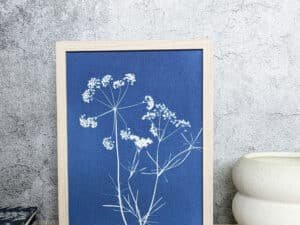 Cyanotype Ombellifère délicate - Les paillettes by Pepite