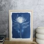 Cyanotype Plume de paon