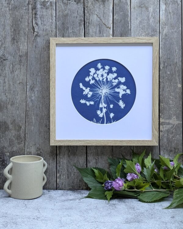 Cyanotype fleur de carotte sauvage - Les paillettes by Pepite