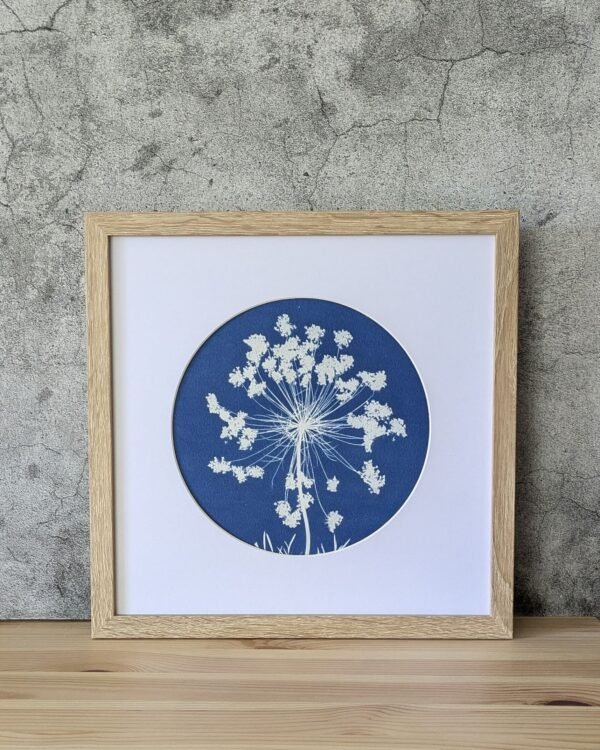 Cyanotype fleur de carotte sauvage - Les paillettes by Pepite